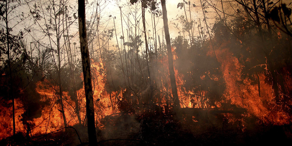 Investigador socioambiental advierte destrucción irreversible del Amazonas