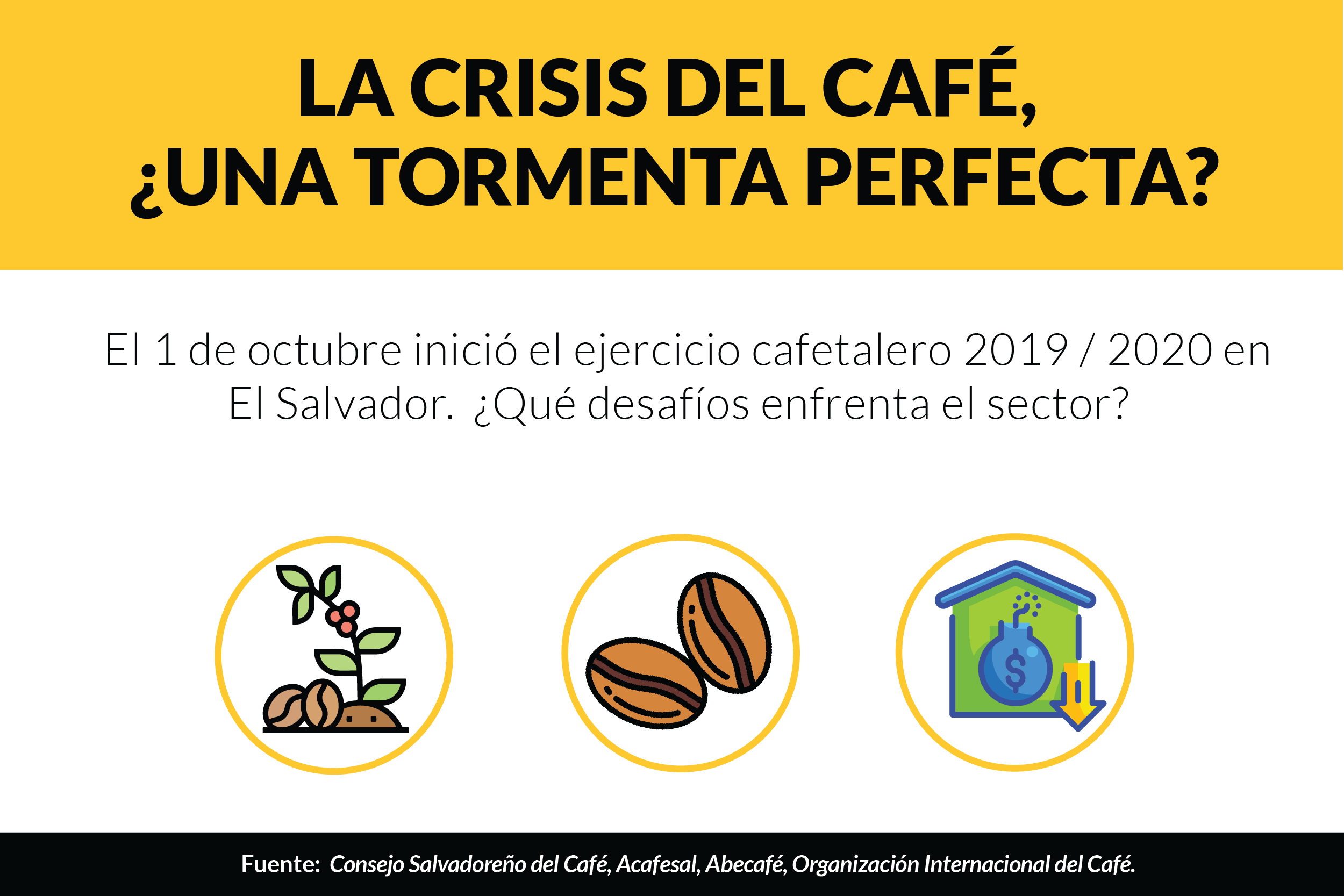 La crisis del café, ¿una tormenta perfecta?